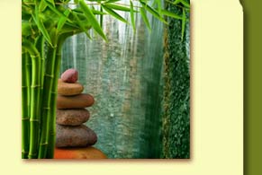 career development career mentorship