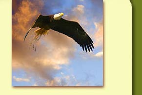 personal transformation