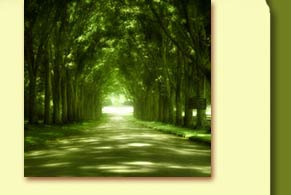 personal transformation